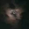 Profilbild von mutlak kâhin