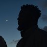 big shark 🦈's profile picture