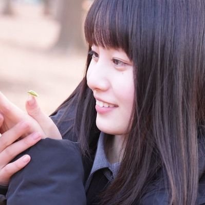 片田陽依 (ひよりの虫日記)'s profile picture