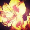 Profilbild von nowudonseeme