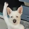 IlIlIl's profile picture