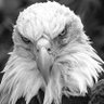 Brian's profile picture