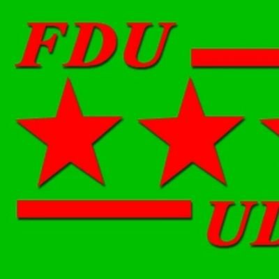 FDU_Inkingi's profile picture