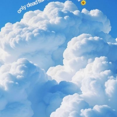 CostaRue's profile picture
