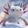 Axolotl profil fotoğrafı