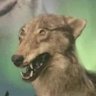 The Coinening's profile picture