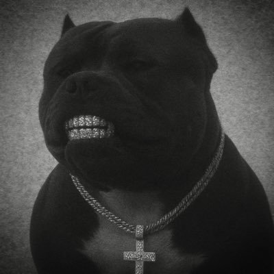 acethebulllly's profile picture