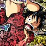 Amine 的头像