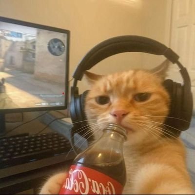 Buntyy singh's profile picture