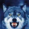 Profilbild von Rico N