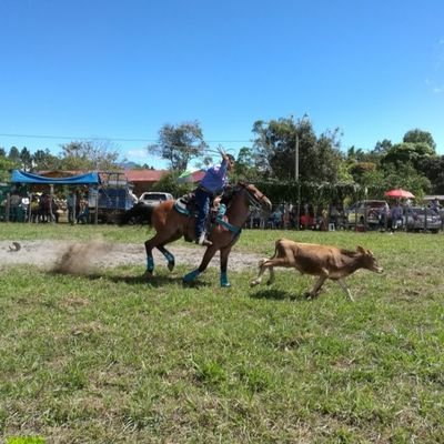 Asturias's profile picture