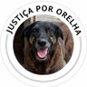 Percurso do Cucurio's profile picture