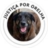 A extrema direita ja te irritou hoje? 👍🏻 profil fotoğrafı