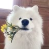 บิ้มส์'s profile picture