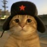 兔叨乐's profile picture