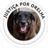 Profilbild von Praia Brava do Orelha