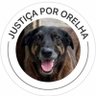 vivavi profil fotoğrafı