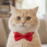 AnimAI's profile picture