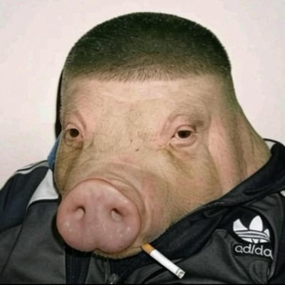 gimby's profile picture