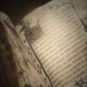 ☆Medieval_Teller☆'s profile picture