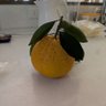 Фото профиля こじろー