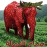 عبدالله الشمري 的头像