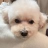 うっちー 的头像