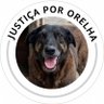 Profilbild von DOKLUNA JUSTIÇA PELO ORELHA