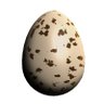 Profilbild von increpare