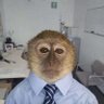 Profilbild von wiki
