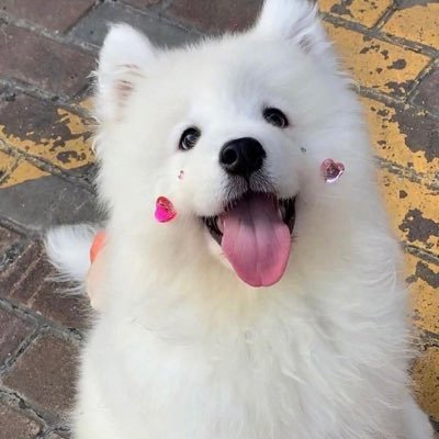 b_23qx's profile picture