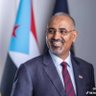 محمد عبدالله's profile picture
