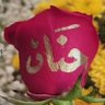 Hanane Chabib's profile picture