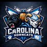 Dirty Myrtle Panthers/Hornets fan 的头像