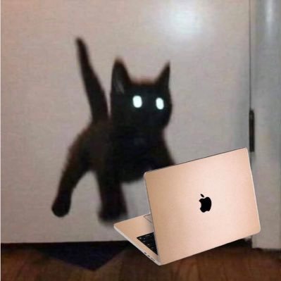 sunleasheddd's profile picture