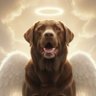 Jani_Valverde's profile picture