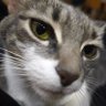 EtliEkmek_5160 profil fotoğrafı