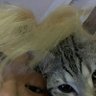Profilbild von meng๐ฑ