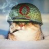 Profilbild von Cary Zee