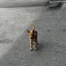 julius_7 profil fotoğrafı