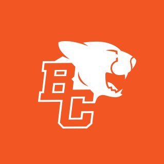 BC LIONS's profile picture