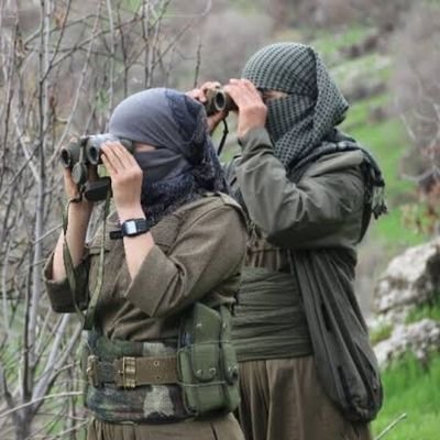 Kurtay Feraşin.'s profile picture