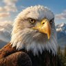 EagleEric - CHRIST IS KING 🙏🙏🙏's profile picture