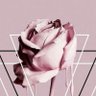 العربية's profile picture