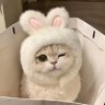 Cool's profile picture