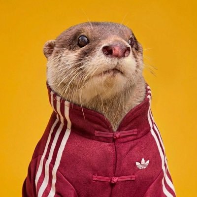 Degen The Otter's profile picture