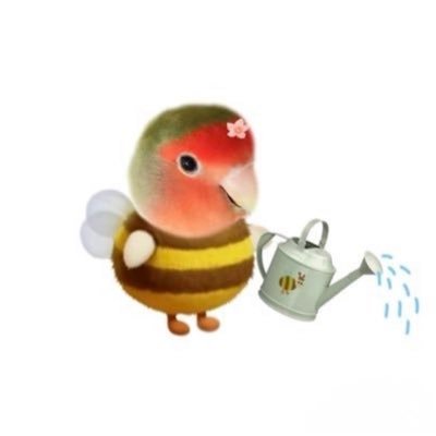 lalalamomo6's profile picture