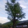 Фото профиля 동탁