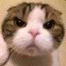 Profilbild von 啦啦啦啦