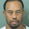 Tiger Woods 的头像